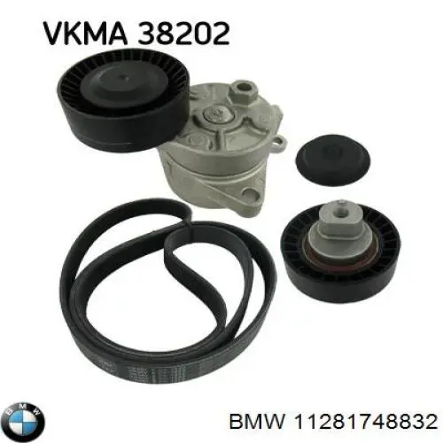 Comprar 11281748832 BMW Tensor de correa poli V 