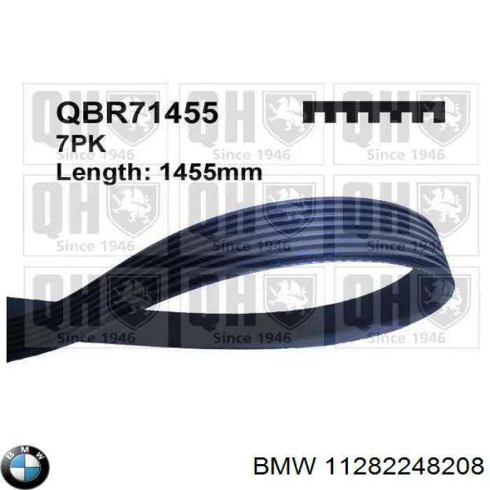 11282248208 BMW correa trapezoidal