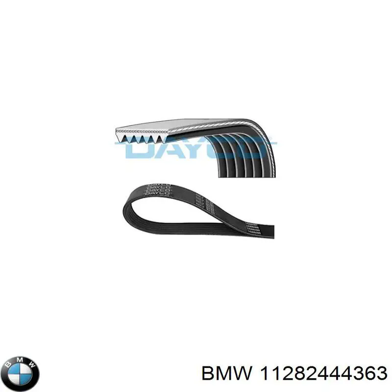 Correa de transmisión, completo BMW 11282444363 precio, desde 176,28 EUR