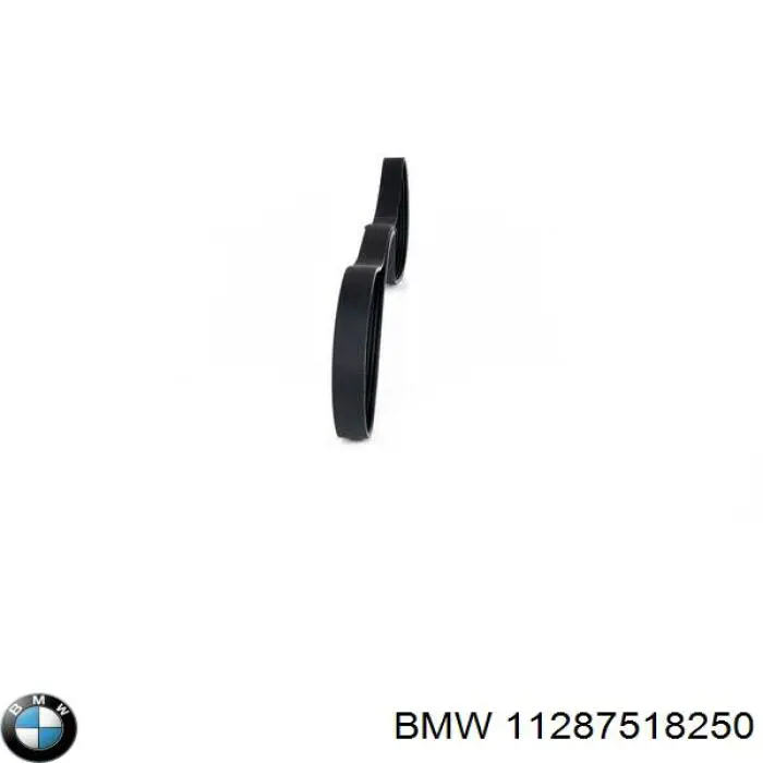 11287518250 BMW correa trapezoidal
