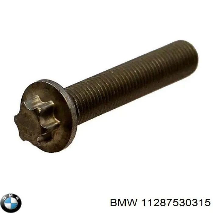 Comprar 11287530315 BMW 