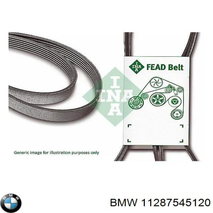 11287545120 BMW correa trapezoidal