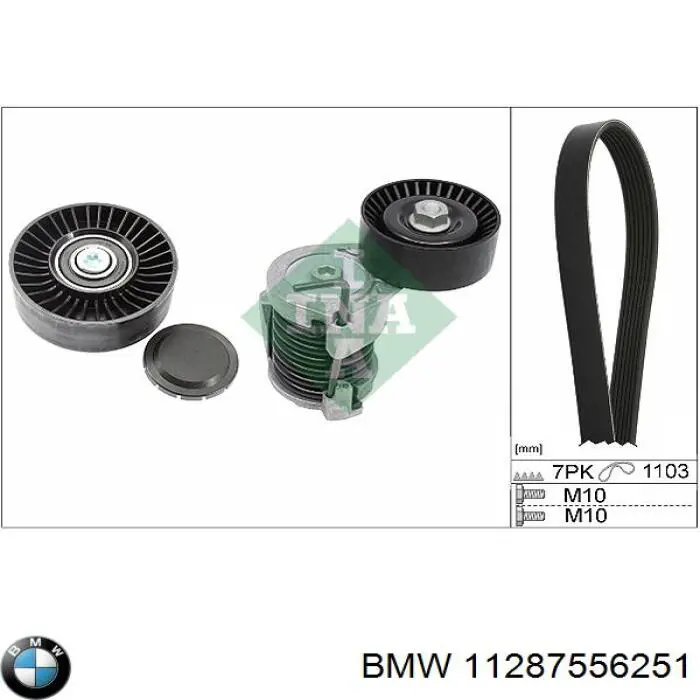 11287556251 BMW Polea guía correa poli V