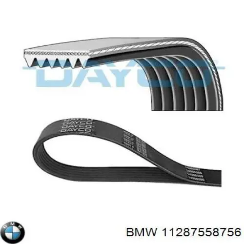 11287558756 BMW correa trapezoidal