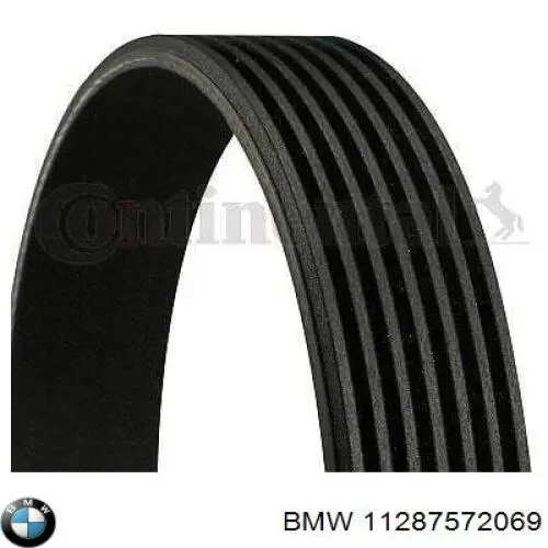 11287572069 BMW correa trapezoidal