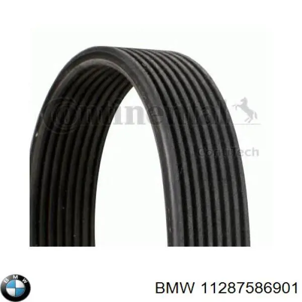 11287586901 BMW Correa poly v