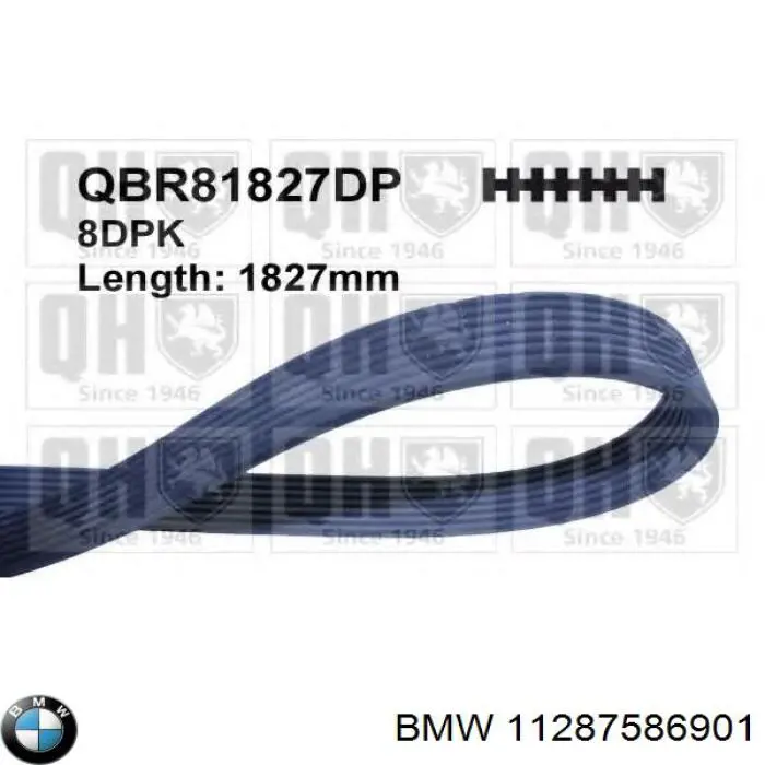 Correa de transmisión trapezoidal BMW 11287586901 precio, desde 32,56 EUR