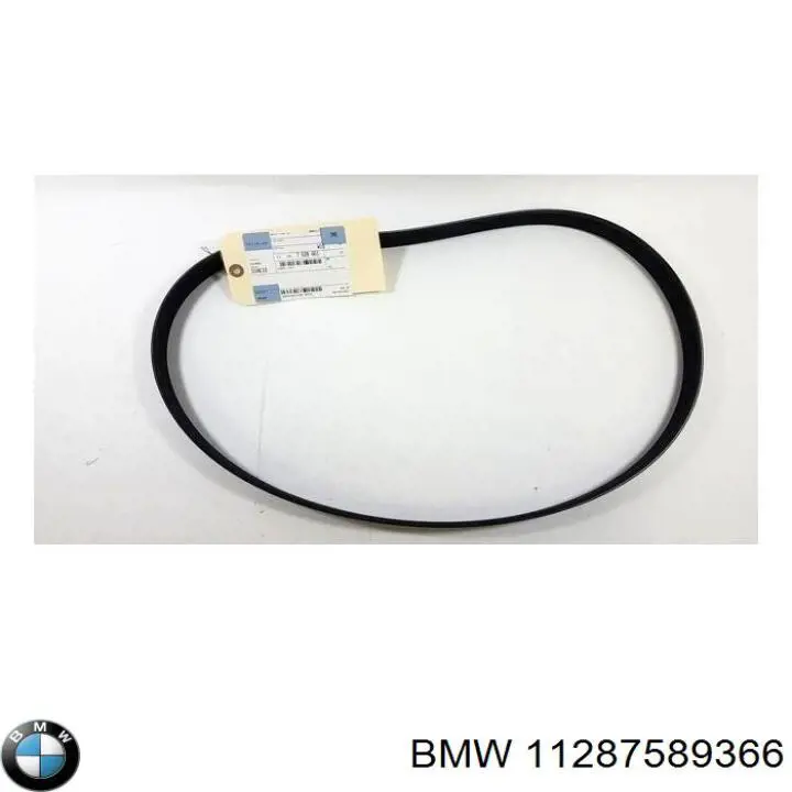 11287589366 BMW correa trapezoidal