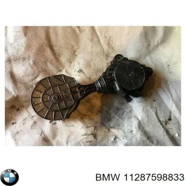 Tensor de correa poli V 11287598833 BMW