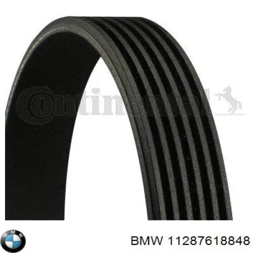 Correa de alternador 11287618848 BMW
