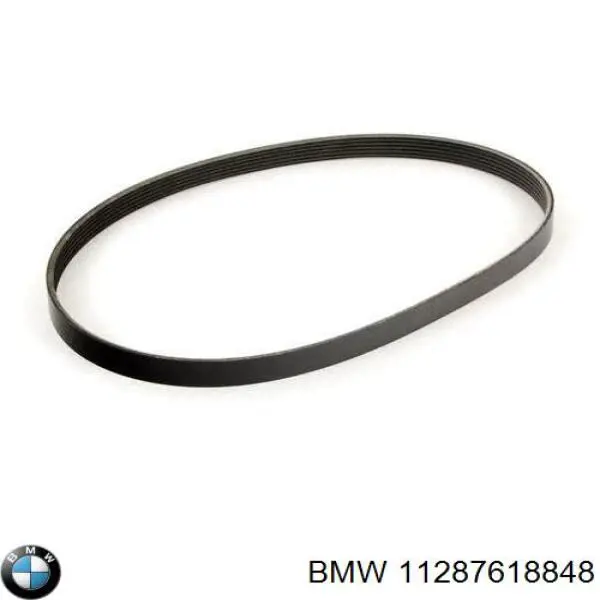 Comprar 11287618848 BMW Correa trapezoidal