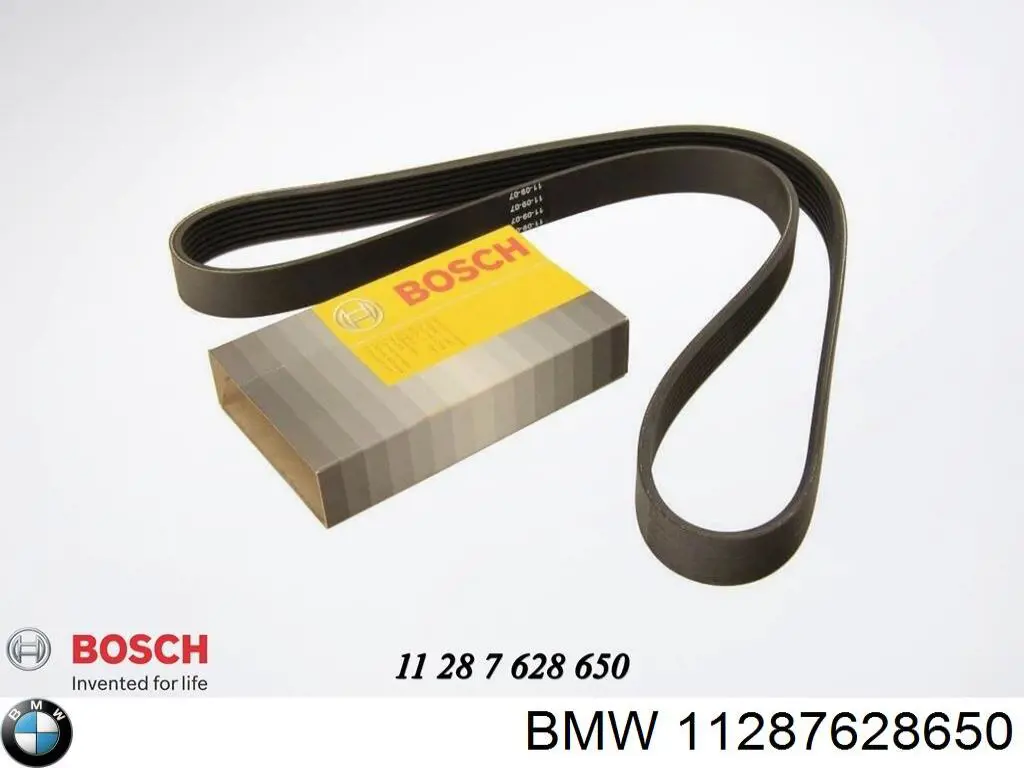Comprar 11287628650 BMW Correa trapezoidal