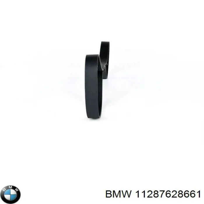 11287628661 BMW correa trapezoidal