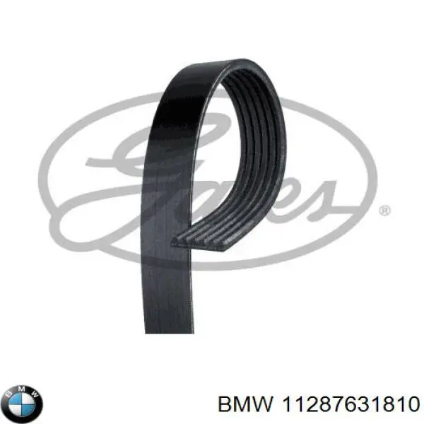 Correa de alternador 11287631810 BMW