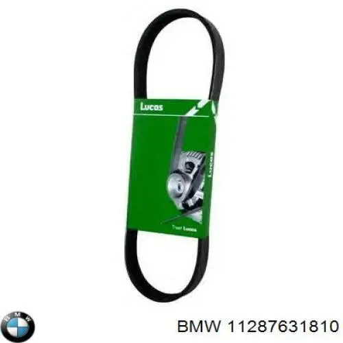 Correa accesorios BMW 11287631810