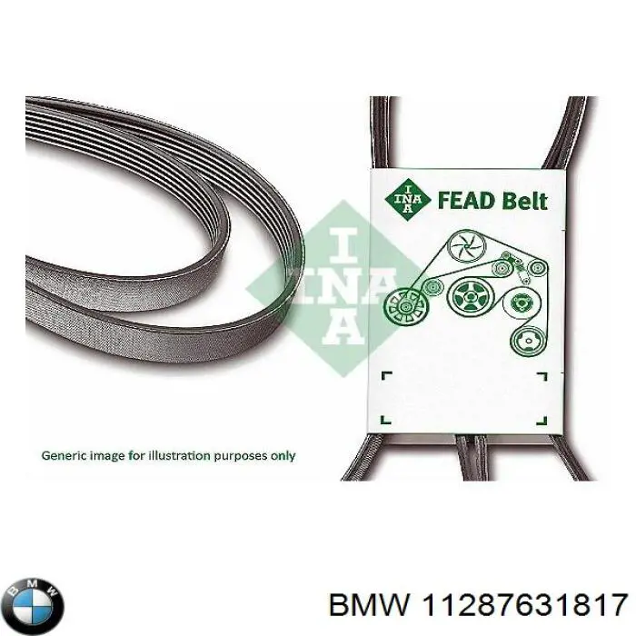 Comprar 11287631817 BMW Correa trapezoidal