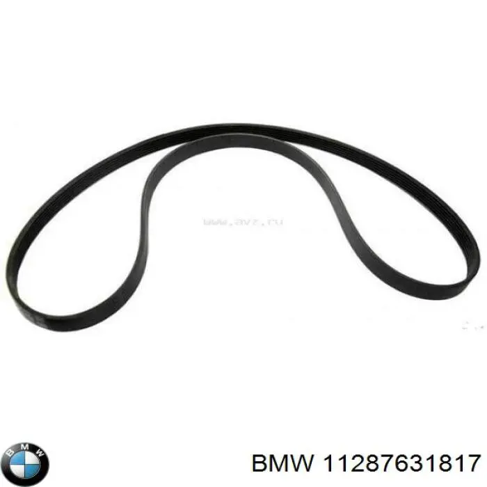 Correa de transmisión trapezoidal BMW 11287631817 precio, desde 13,58 EUR