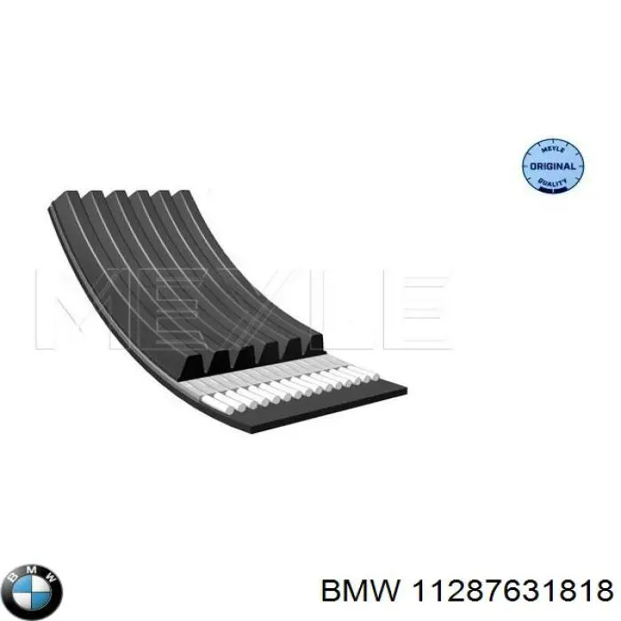 Comprar 11287631818 BMW Correa trapezoidal