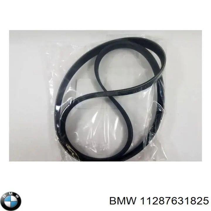 Comprar 11287631825 BMW Correa trapezoidal