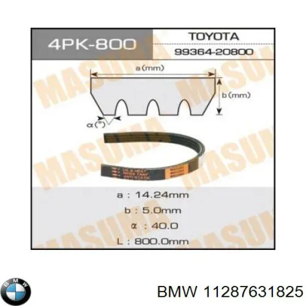 Correa de transmisión trapezoidal BMW 11287631825 precio, desde 7,44 EUR