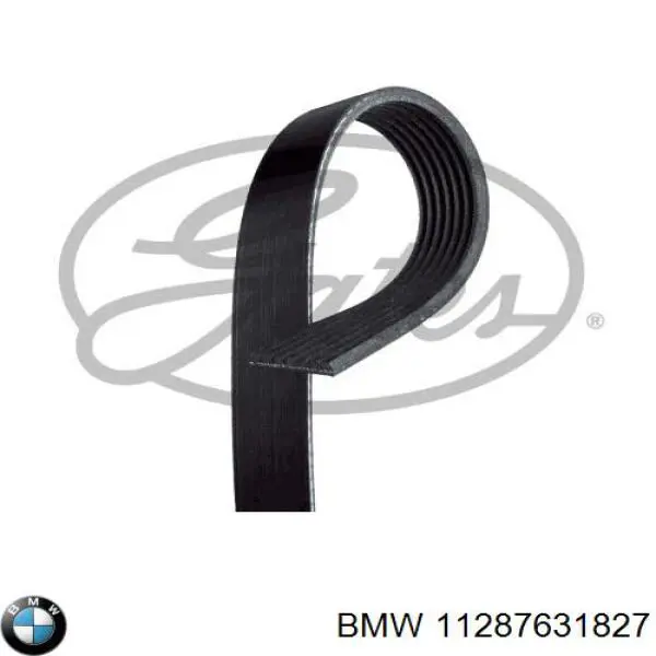 11287631827 BMW correa trapezoidal