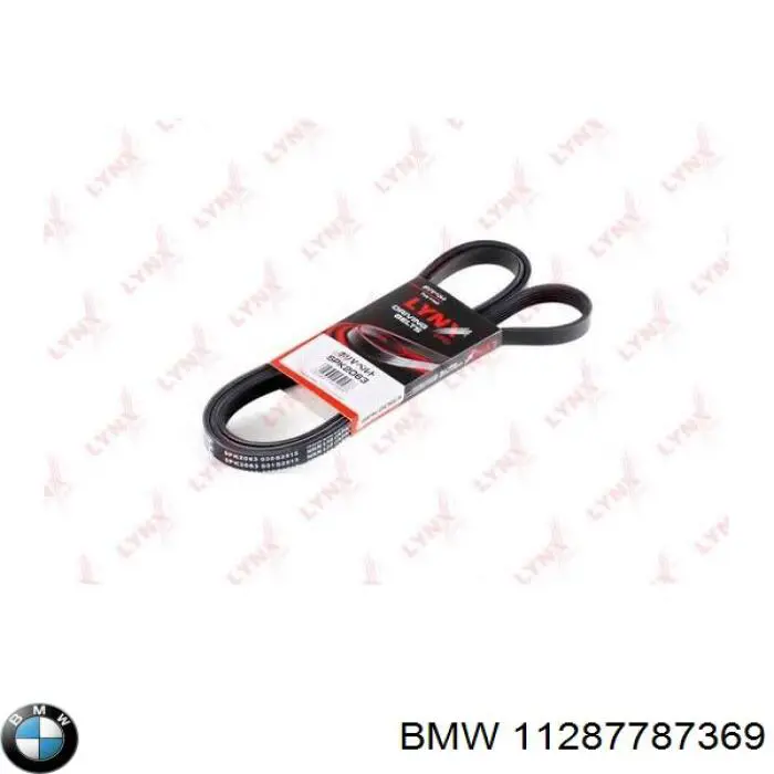 Correa de transmisión trapezoidal BMW 11287787369 precio, desde 16,05 EUR