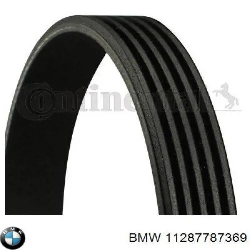 Correa de alternador 11287787369 BMW
