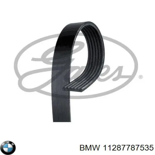 11287787535 BMW Correa poly v