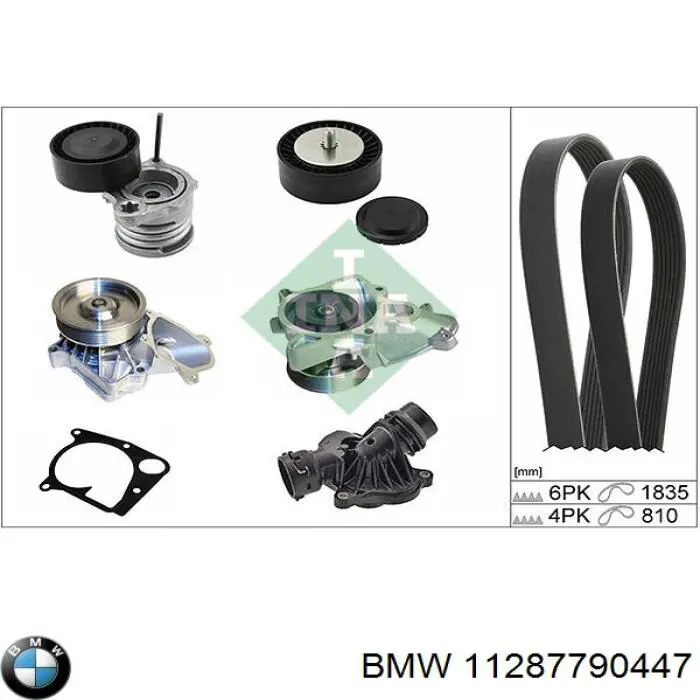 Tensor de la correa trapecial poli v BMW 11287790447