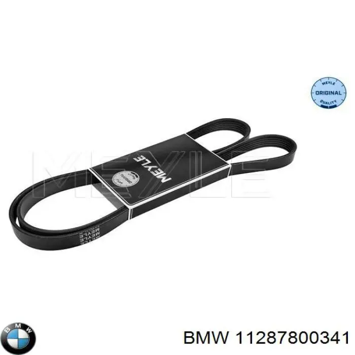 11287800341 BMW correa trapezoidal