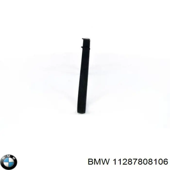 11287808106 BMW correa trapezoidal