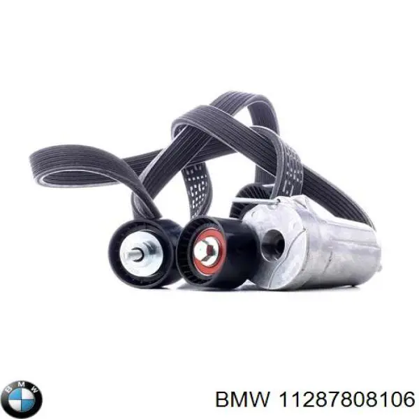 Correa de transmisión trapezoidal BMW 11287808106 precio, desde 42,77 EUR
