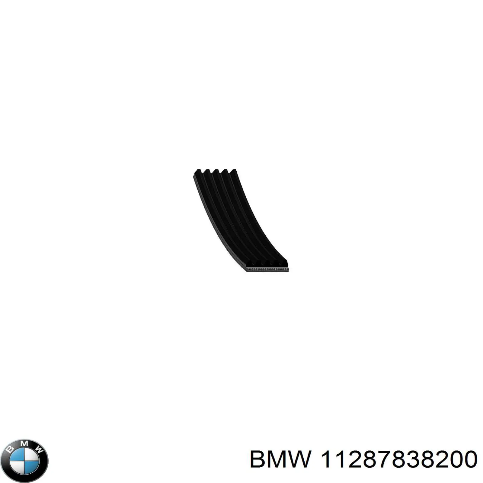 11287838200 BMW correa trapezoidal