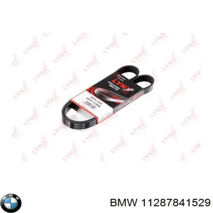 Correa de alternador 11287841529 BMW