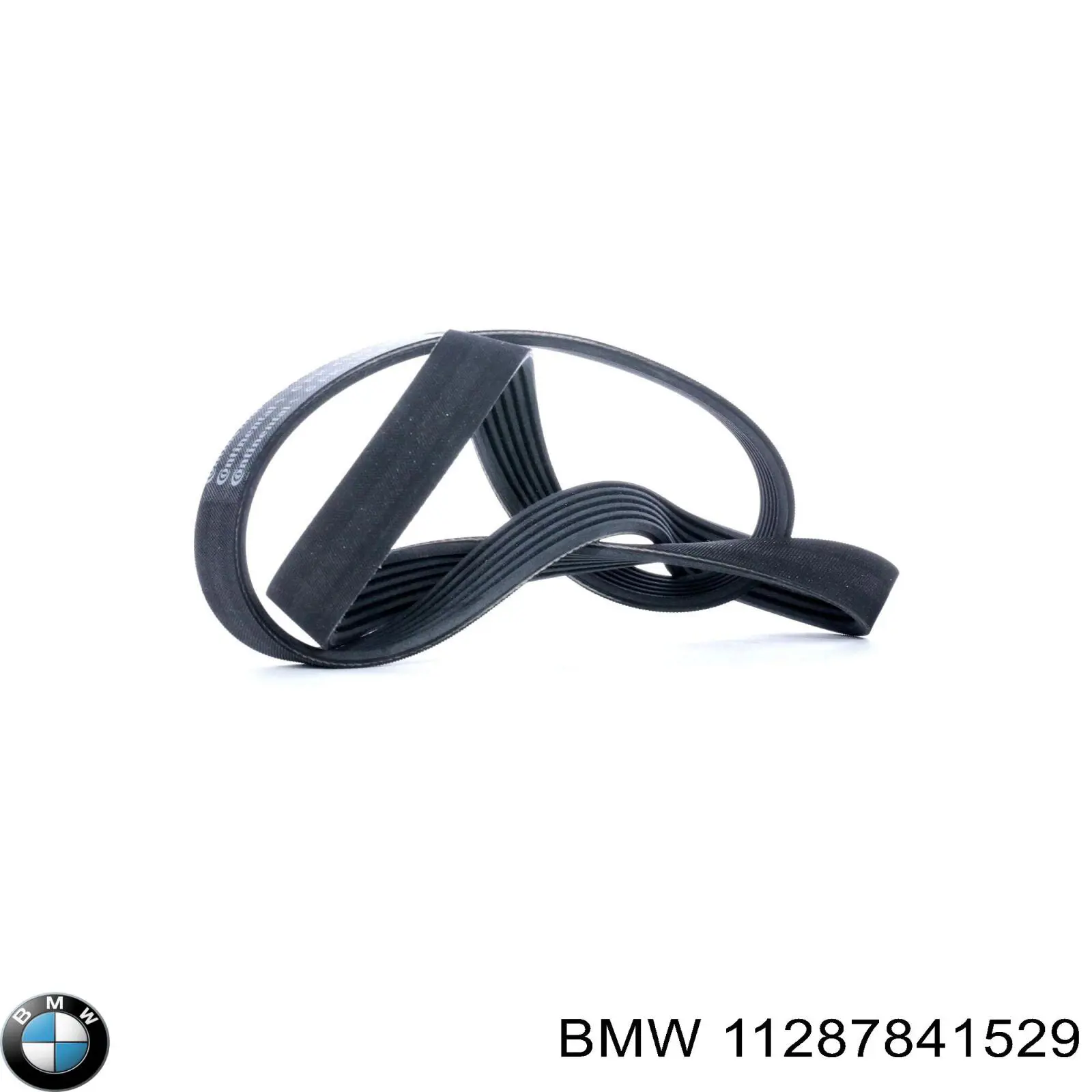 11287841529 BMW Correa poly v