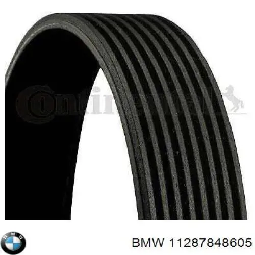 11287848605 BMW correa trapezoidal