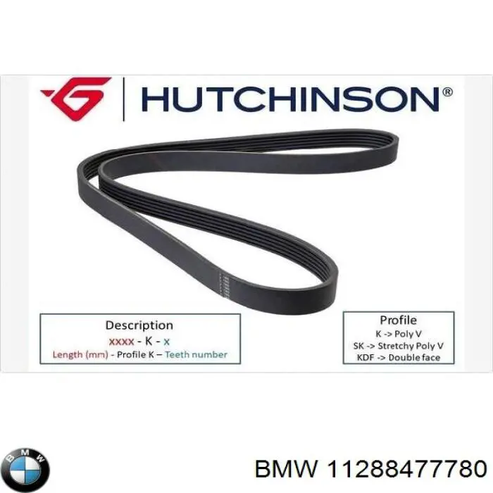Comprar 11288477780 BMW Correa trapezoidal