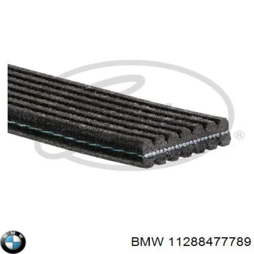11288477789 BMW Correa poly v