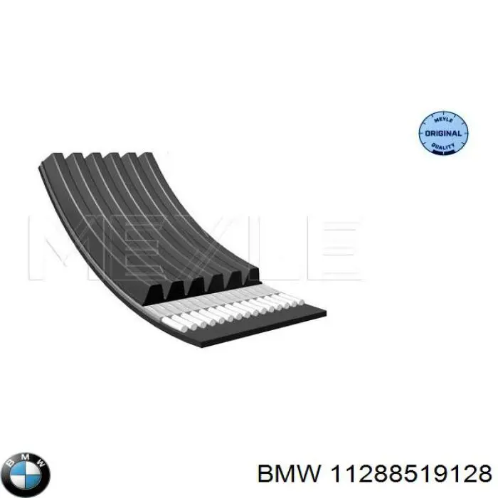 Comprar 11288519128 BMW Correa trapezoidal