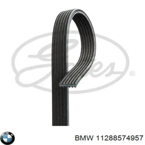 11288574957 BMW correa trapezoidal