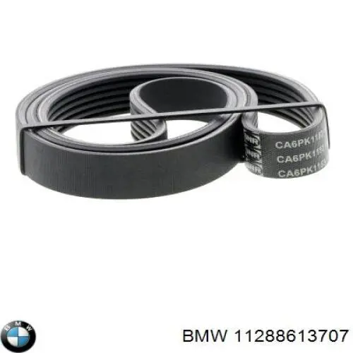 Comprar 11288613707 BMW Correa trapezoidal