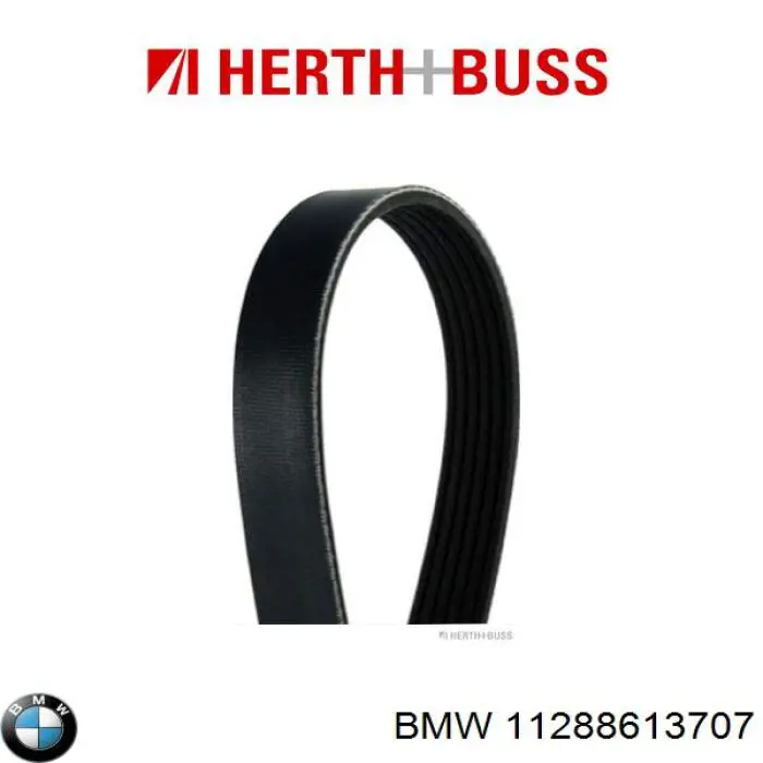 Correa de transmisión trapezoidal BMW 11288613707 precio, desde 9,76 EUR