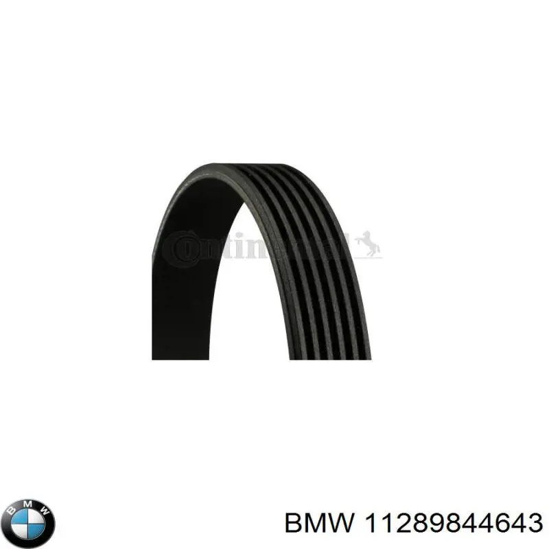 Comprar 11289844643 BMW Correa trapezoidal