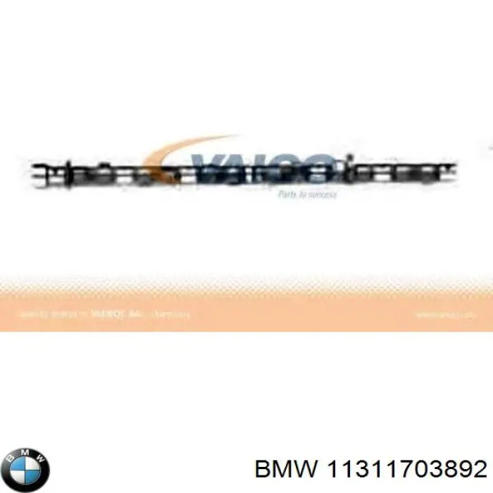 11311703892 BMW