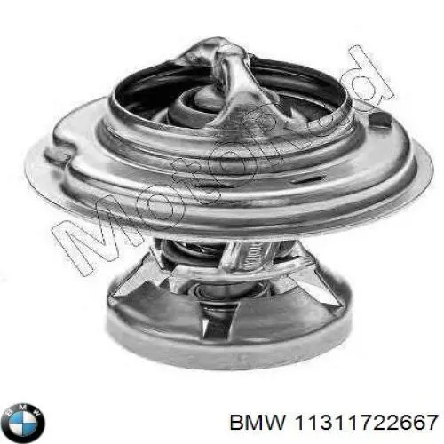 Comprar 11311722667 BMW Tensor de cadena de distribución