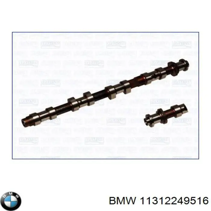 11312249516 BMW árbol de levas escape