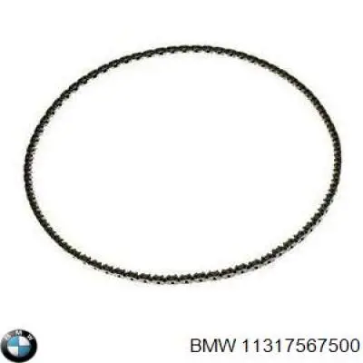 Cadena de distribución derecha BMW 11317567500 precio, desde 177,82 EUR
