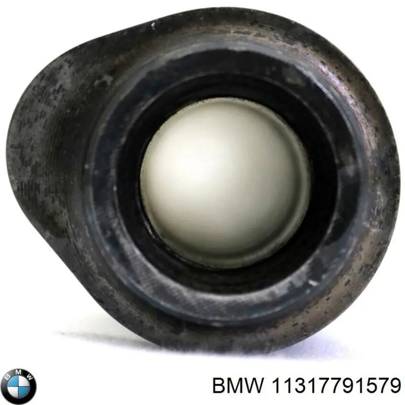 Comprar 11317791579 BMW Árbol de levas
