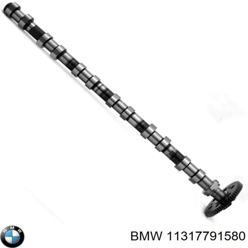 11317791580 BMW árbol de levas escape