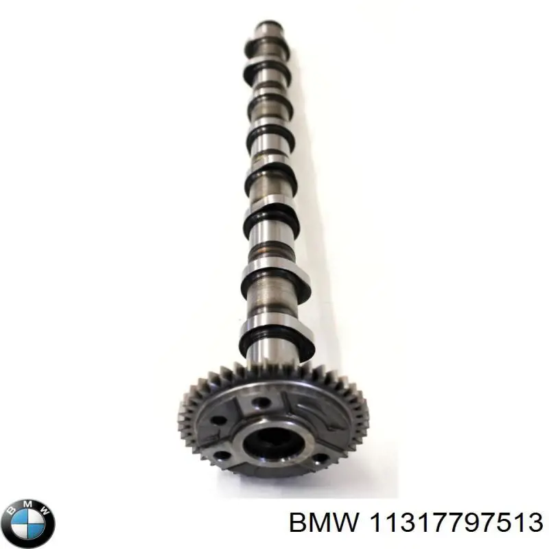 11317797513 BMW árbol de levas escape